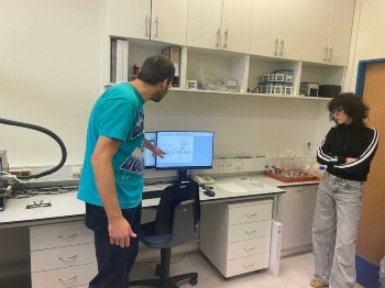 IMG-20241111-WA0098 IMG-20241111-WA0098